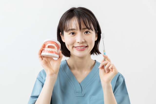 歯ブラシを指導する歯科医師